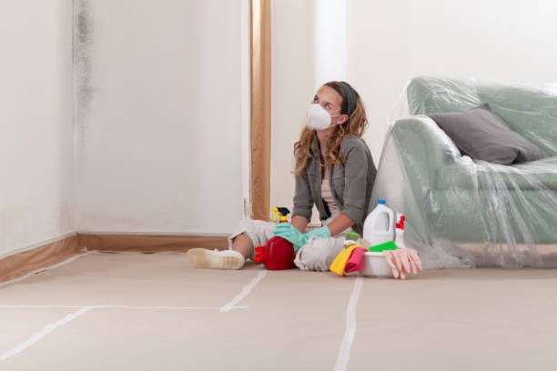 Reliable Mold Remediation contractor in Willernie, MN by WQB Mold Removal